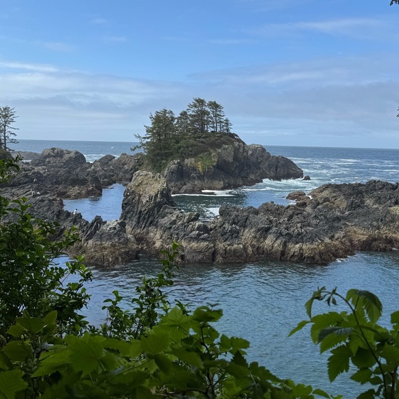 Meet your Posher, Chasthylyn - Picture 1 of 1